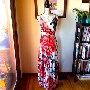 Anthropologie Farm Rio Floral dress